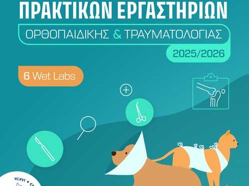 ΠΡΑΚΤΙΚΟ ΣΕΜΙΝΑΡΙΟ ΟΡΘΟΠΑΙΔΙΚΗΣ & ΤΡΑΥΜΑΤΟΛΟΓΙΑΣ (ΑΡΘΡΩΣΗ ΤΟΥ ΙΣΧΙΟΥ)